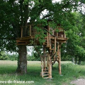 Cabane dans les arbres en Pays de la Loire, perchée sur un grand chêne.