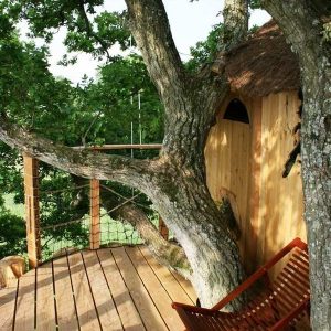 Cabane perchée dans un arbre, avec terrasse en bois et vue sur la nature environnante.