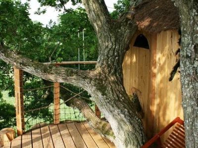 Cabane perchée dans un arbre, avec terrasse en bois et vue sur la nature environnante.