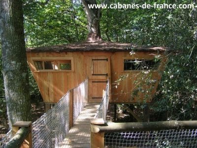 Cabane dans les arbres en bois, perchée au milieu des feuillages verdoyants.
