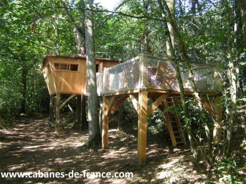 Cabane perchée en bois dans les arbres, entourée de verdure luxuriante.