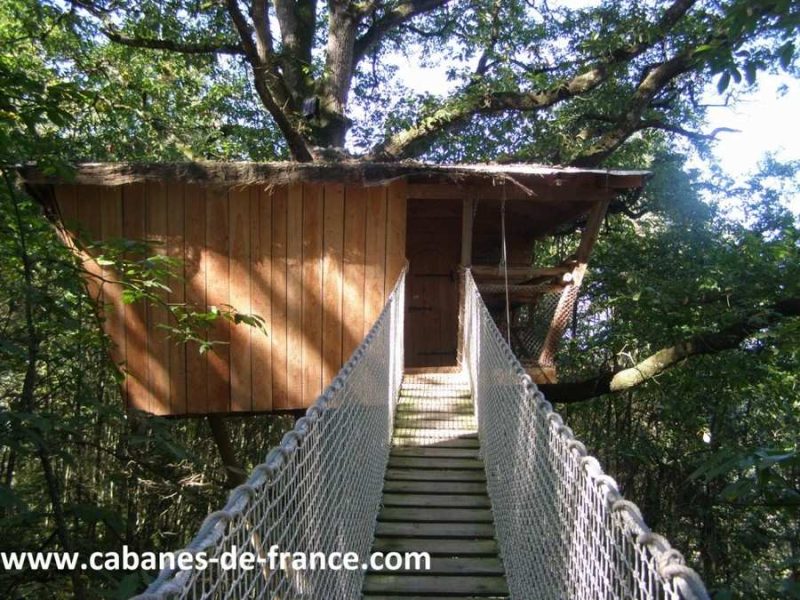 Cabane dans les arbres en Pays de la Loire, accessible par un pont suspendu.