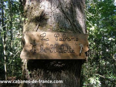 Cabane dans les arbres en Pays de la Loire, entourée de verdure luxuriante.