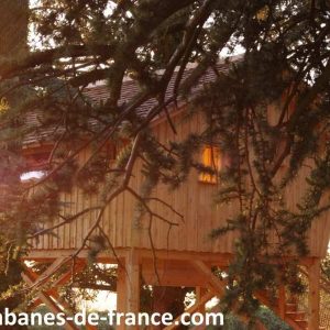 Cabane perchée en bois, baignée de lumière au cœur des arbres en Auvergne-Rhône-Alpes.
