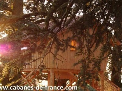 Cabane perchée en bois, baignée de lumière au cœur des arbres en Auvergne-Rhône-Alpes.