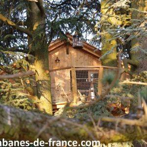 Cabane perchée dans les arbres, offrant une vue imprenable sur la nature environnante.