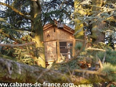 Cabane perchée dans les arbres, offrant une vue imprenable sur la nature environnante.