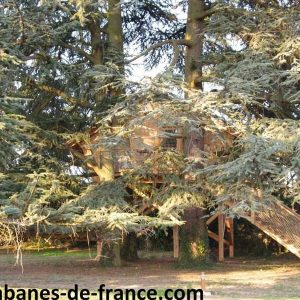 Cabane perchée dans un arbre, entourée de feuillage verdoyant en Auvergne-Rhône-Alpes.