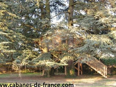 Cabane perchée dans un arbre, entourée de feuillage verdoyant en Auvergne-Rhône-Alpes.
