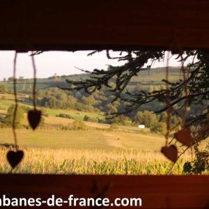 Vue depuis une cabane perchée, offrant un panorama sur les collines verdoyantes.