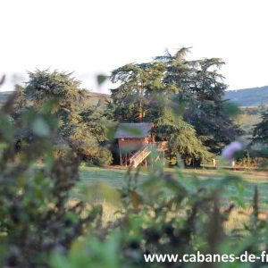 Cabane perchée entourée de grands arbres, offrant une vue paisible sur la nature.