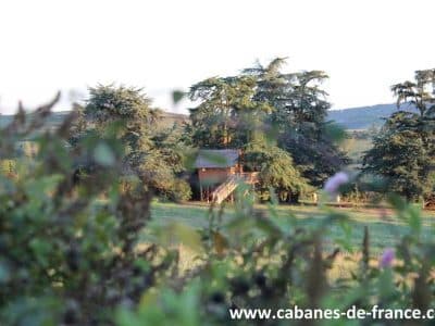 Cabane perchée entourée de grands arbres, offrant une vue paisible sur la nature.
