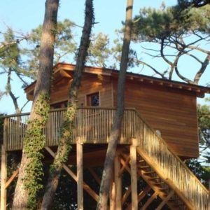 Cabane en bois perchée dans les arbres, entourée de verdure luxuriante.
