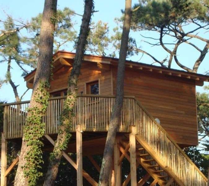Cabane en bois perchée dans les arbres, entourée de verdure luxuriante.
