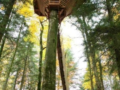 Cabane perchée dans les arbres, entourée de feuillage doré en Bourgogne-Franche-Comté.
