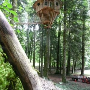 Cabane perchée dans les arbres, entourée de verdure en Bourgogne-Franche-Comté.