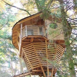 Cabane perchée dans les arbres, en bois, entourée de verdure en Bourgogne-Franche-Comté.