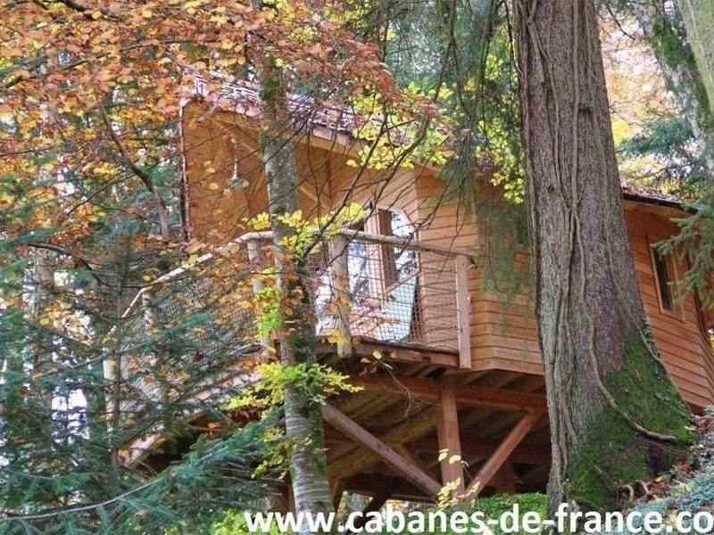 Cabane perchée en bois, entourée darbres colorés en Bourgogne-Franche-Comté.