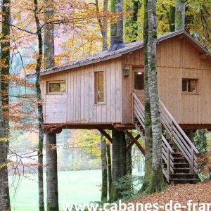 Cabane perchée en bois dans les arbres, entourée de feuillage automnal.