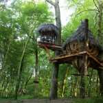 Cabane insolite dans les bois