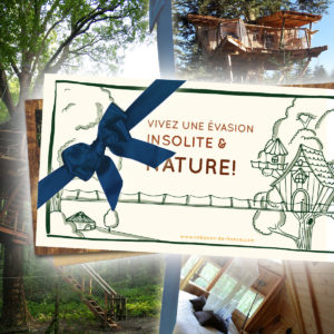 Cheque cadeau Decouverte -Box Cabanes dans les arbres