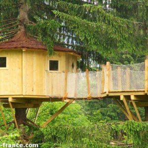 Cabane perchée dans les arbres, entourée de verdure luxuriante et de conifères.
