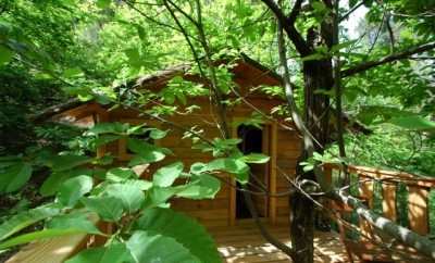 Cévennes Insolites: La Cabane du Poète