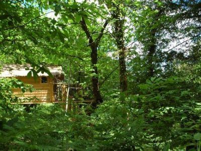 Cabane perchée dans les arbres, entourée dune verdure luxuriante.