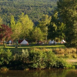 Camping au bord dun lac, tentes entourées darbres verdoyants et paisibles.