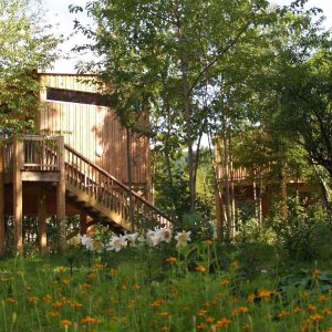 Cabane perchée en bois entourée de verdure et de fleurs colorées en Auvergne.