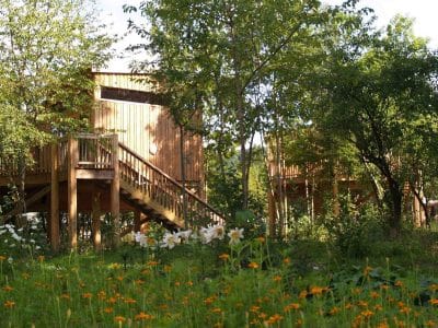 Cabane perchée en bois entourée de verdure et de fleurs colorées en Auvergne.