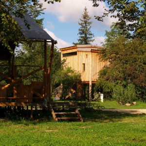 Hébergement insolite en Auvergne : cabane en bois avec vue sur la nature verdoyante.