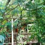 Au Jardin des Colibris