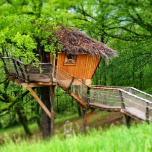 Cabane dans les arbres en bois, entourée de verdure luxuriante et dun chemin suspendu.