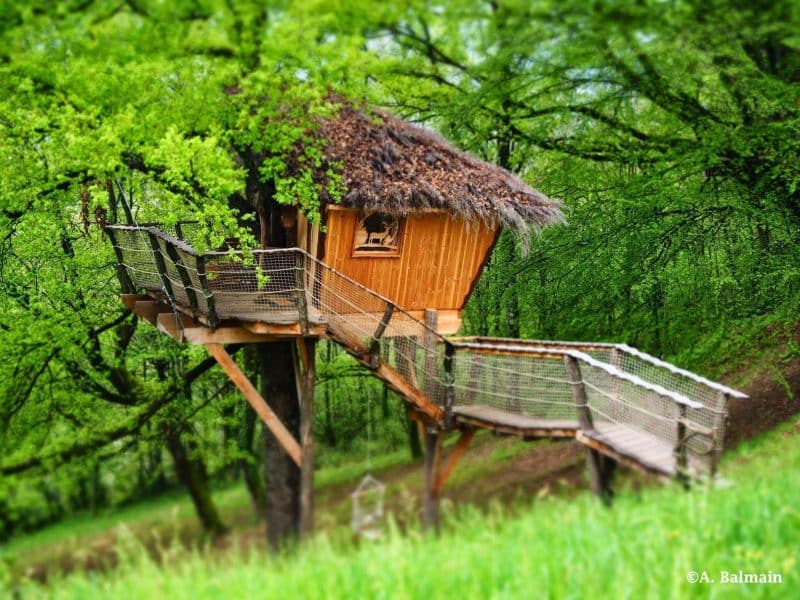 Cabane dans les arbres en bois, entourée de verdure luxuriante et dun chemin suspendu.