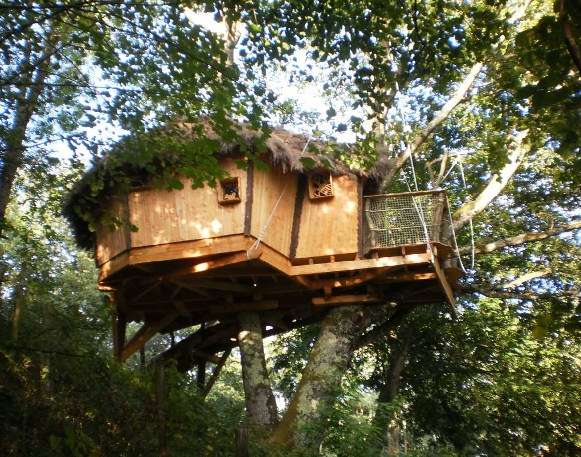 Cabane perchée en bois dans les arbres, entourée de verdure luxuriante.
