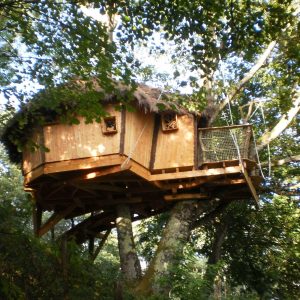 Cabane perchée en bois dans les arbres, entourée de verdure luxuriante.