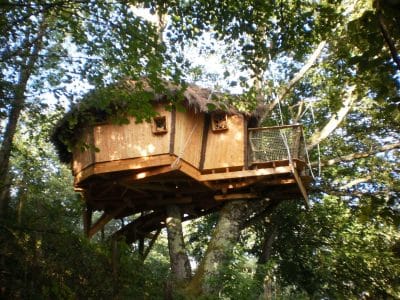 Cabane perchée en bois dans les arbres, entourée de verdure luxuriante.