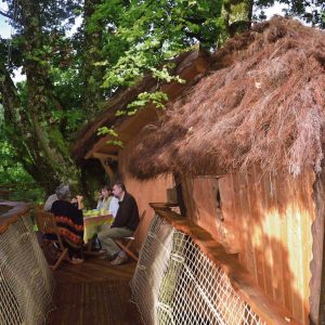Cabane perchée dans les arbres, avec terrasse en bois et vue sur la nature environnante.