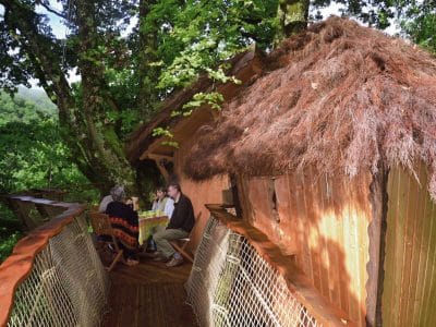 Cabane perchée dans les arbres, avec terrasse en bois et vue sur la nature environnante.