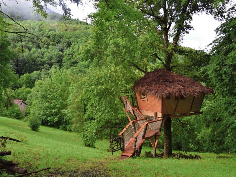 Cabane perchée dans un arbre, entourée de verdure luxuriante en Auvergne-Rhône-Alpes.