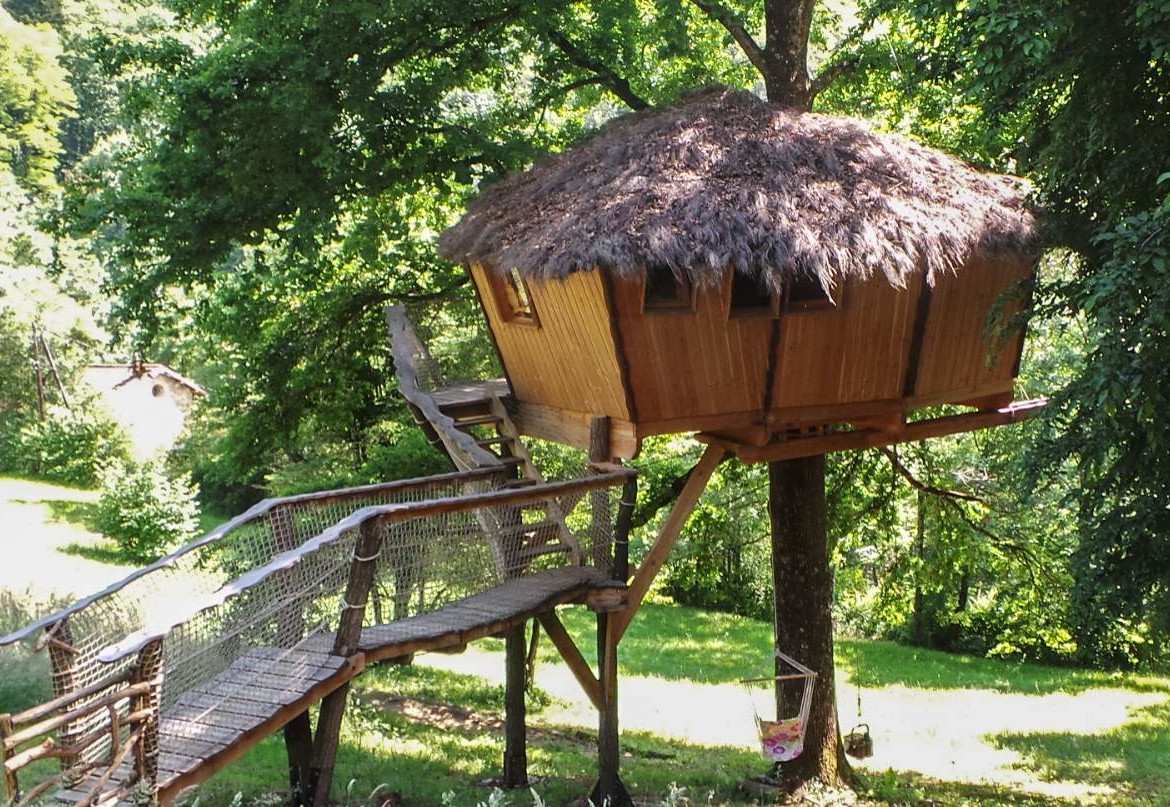 Cabane perchée en bois avec toit de chaume, entourée de verdure luxuriante.