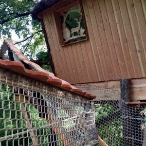Cabane perchée en bois avec un décor naturel et un filet de sécurité.