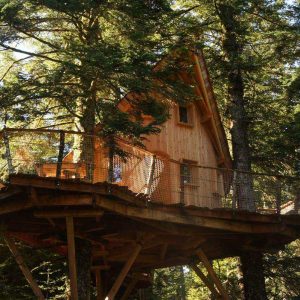 Cabane perchée en bois, entourée darbres, offrant une vue imprenable sur la nature.
