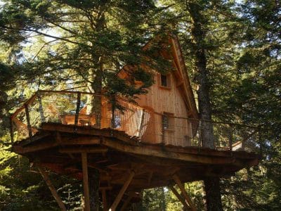 Cabane perchée en bois, entourée darbres, offrant une vue imprenable sur la nature.