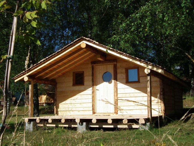 Cabane en bois à Grand-Est, entourée de verdure et baignée de lumière naturelle.