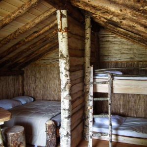 Cabane en bois dans le Grand-Est, avec lits superposés et murs en branches naturelles.