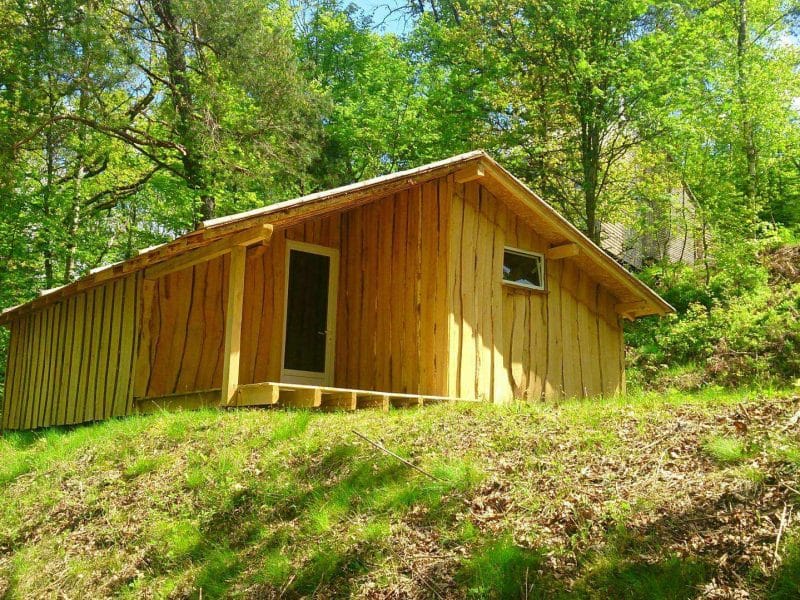Cabane en bois perchée dans la verdure, idéale pour un séjour nature en Grand-Est.
