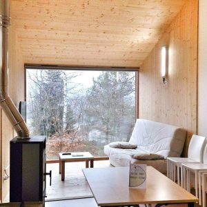 Cabane moderne en bois avec un salon lumineux et vue sur la nature.