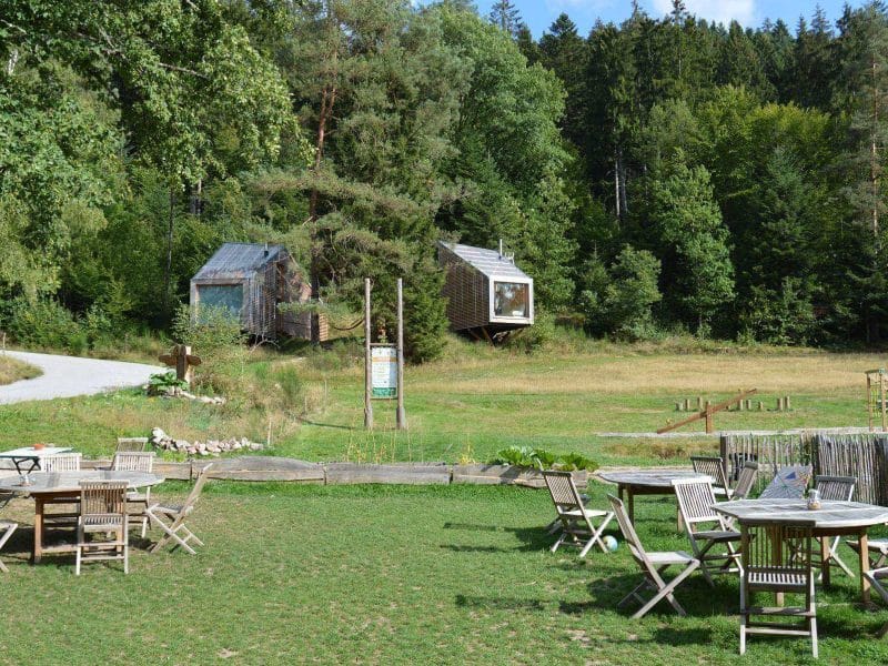 Hébergement insolite en cabanes dans les arbres, entouré de verdure et de mobilier en bois.